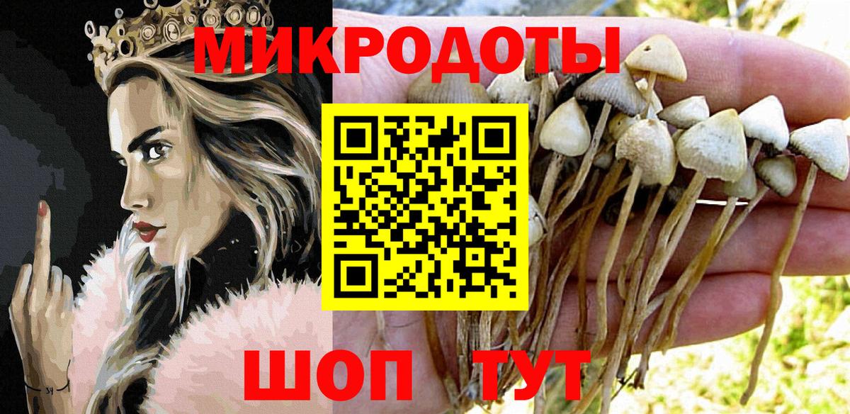 Псилоцибиновые грибы Cubensis Кропоткин