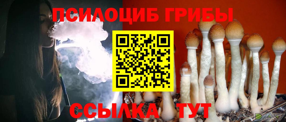 закладки  Галлюциногенные грибы Magic Shrooms  Кропоткин  Вход с VPN  Псилоцибиновые грибы GOLDEN TEACHER 